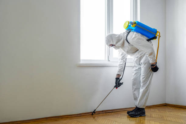 Best Residential Pest Control  in Chapman, KS